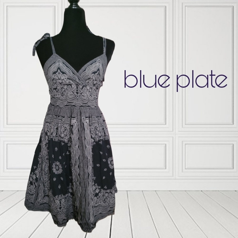 Blue plate Paisley Dress